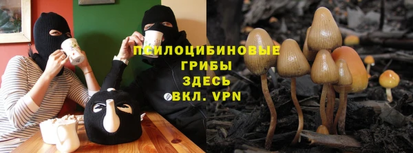 скорость Белокуриха